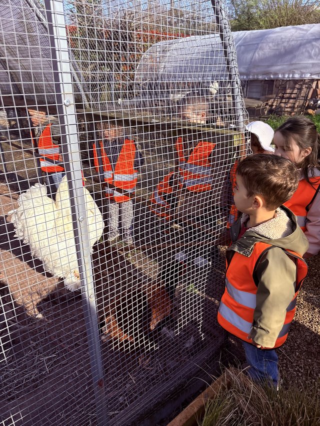 Kleuterklas van Sint-Barbara uit Gent op bezoek