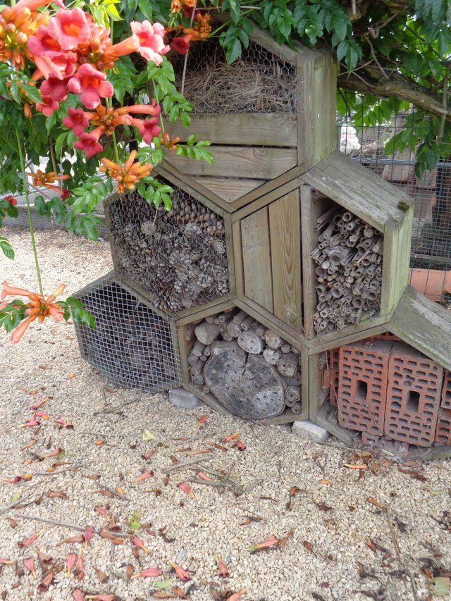 Sfeerbeeld van De Kippentuin